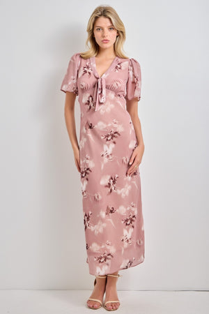 BAEVELY DRESS